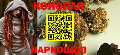 apvp Славгород
