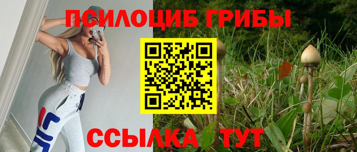 Галлюциногенные грибы Psilocybe  Вход с VPN  Псилоцибиновые грибы Magic Shrooms  Нижний Тагил 